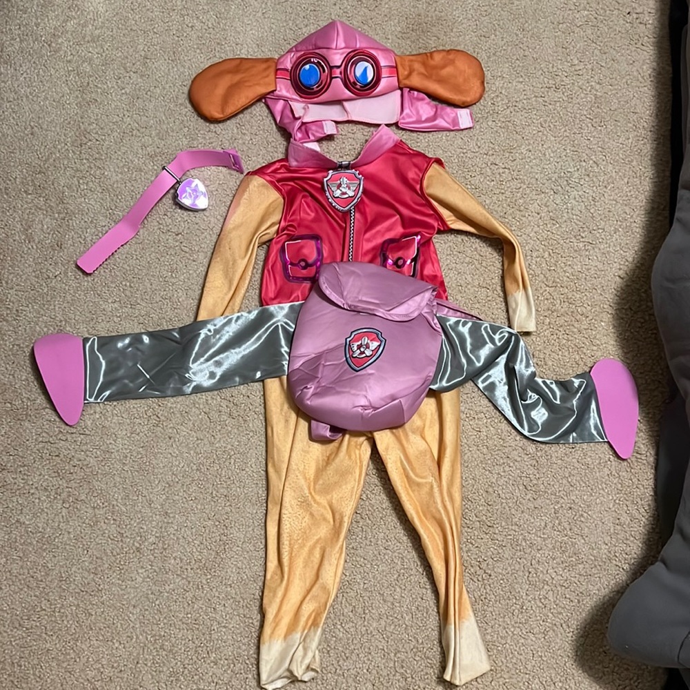 Paw patrol Sky Costume